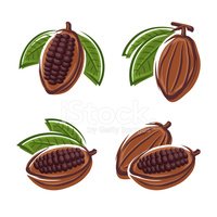 Какао, какаово масло и кувертюр